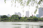 湖面景观