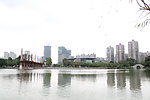 湖面景观