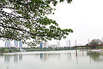 湖面景观