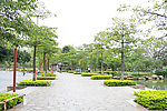 雷岗公园一角