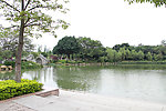 雷岗公园一角