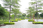 雷岗公园一角