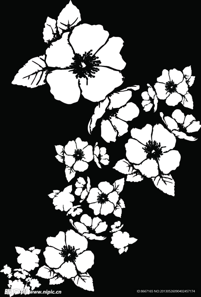 黑白花纹