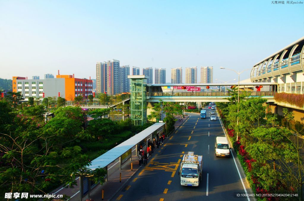 交通建设 城市绿化