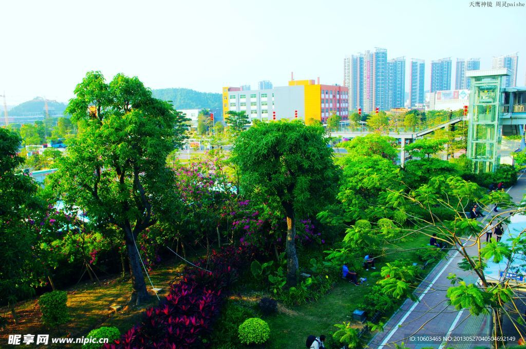 交通建设 城市绿化