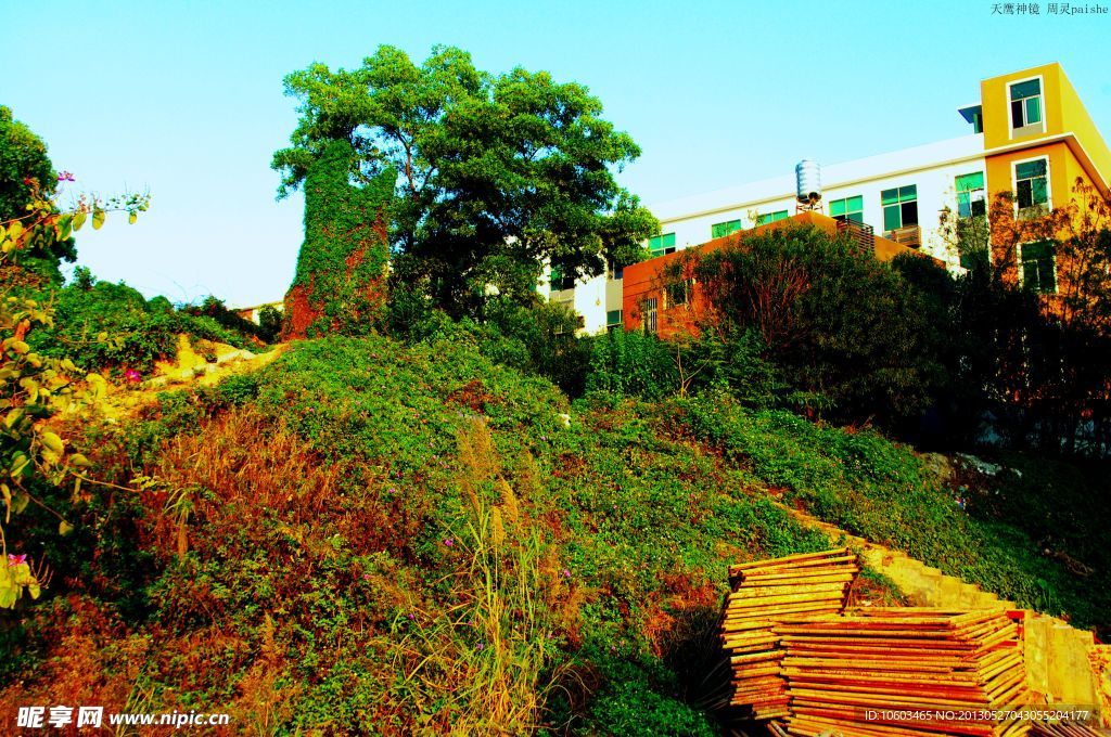 城市风景 山岚建筑