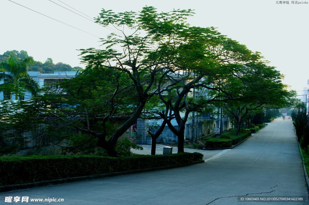 交通建设 城市绿化