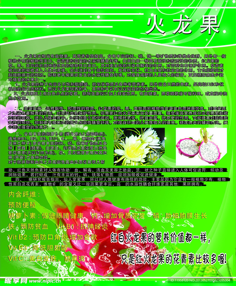 火龙果