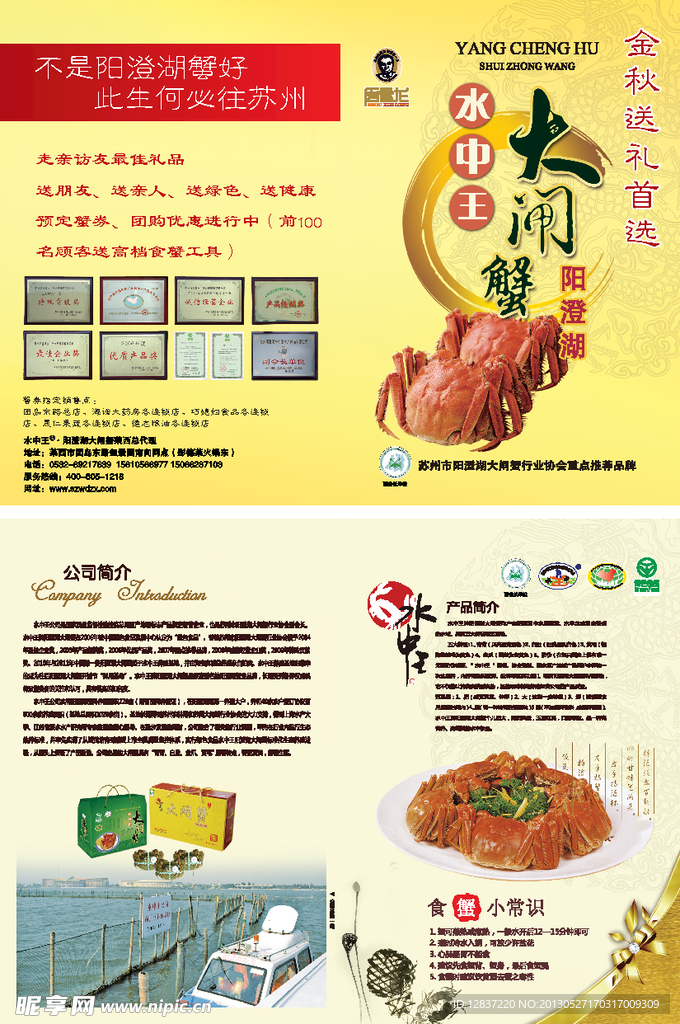 阳澄湖大闸蟹折页