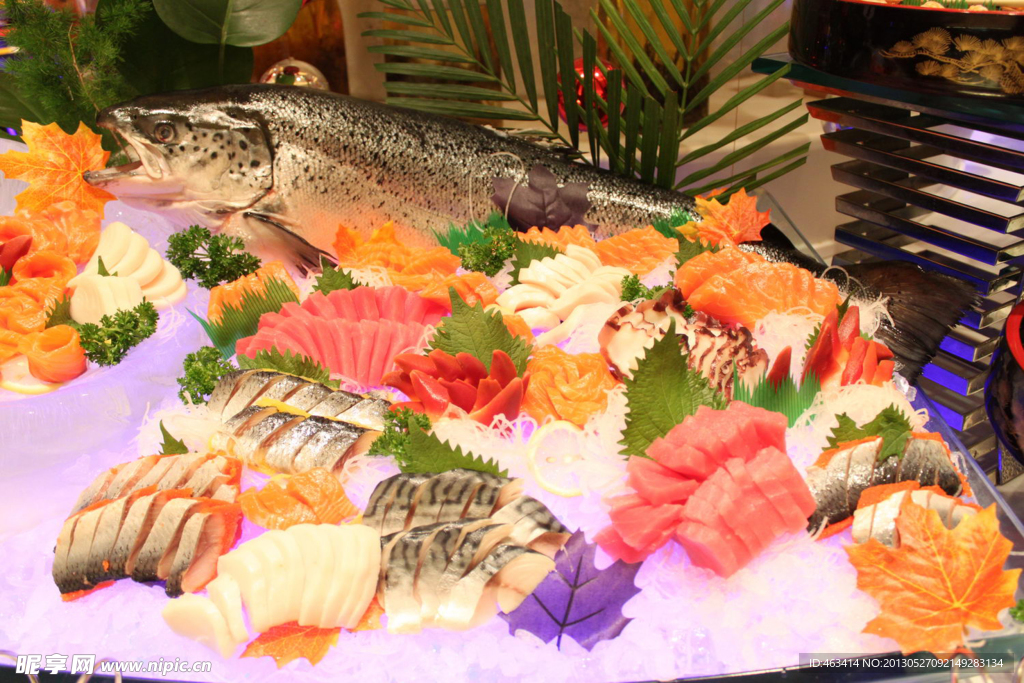 刺身大会