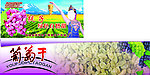 葡萄海报