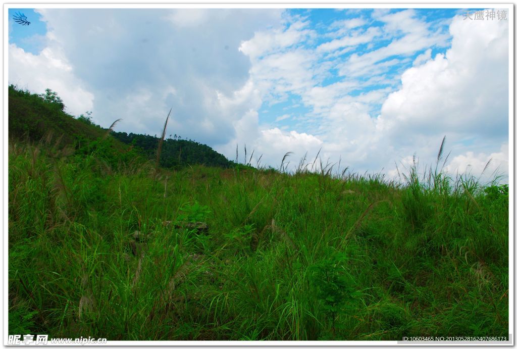 中国山水 城市山水