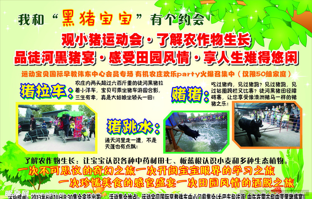 黑猪宝宝海报