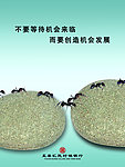 企业文化展板