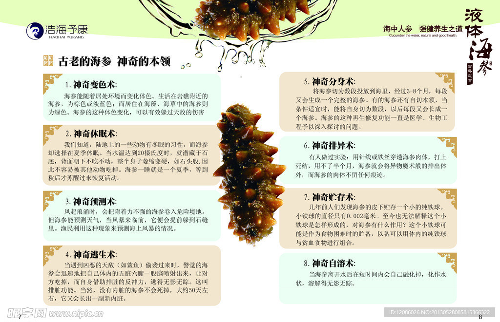 海参彩页