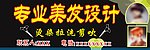 专业美发设计 矢量
