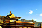 藏教寺庙