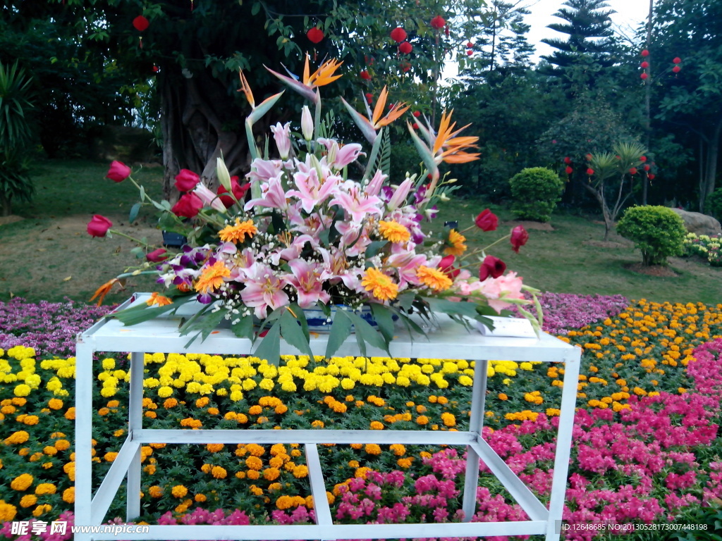 花草
