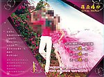 婚纱照宣传