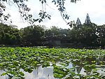 江南水乡风景