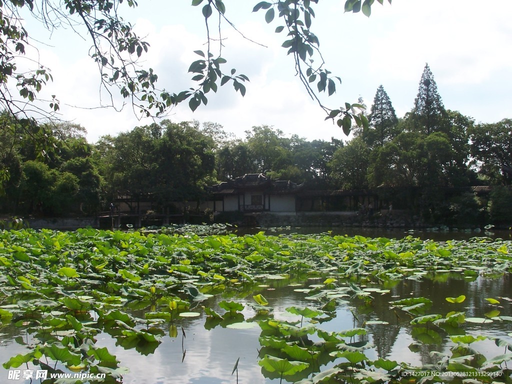 江南水乡风景