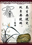 养生标语