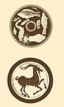 海洋生物图
