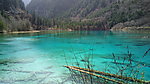 青山绿水