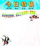 今日特价