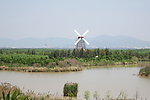 湿地风景