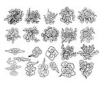 矢量云纹