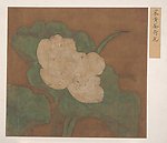 花朵国画