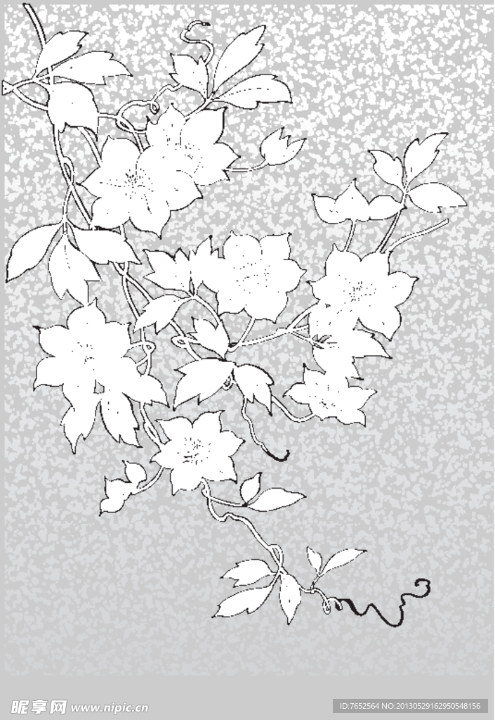 花纹