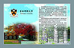 普林斯顿大学