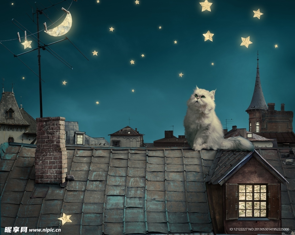 卡通夜景猫咪