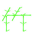 竹子字
