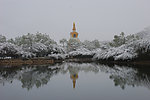 雪景