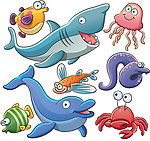 海洋生物