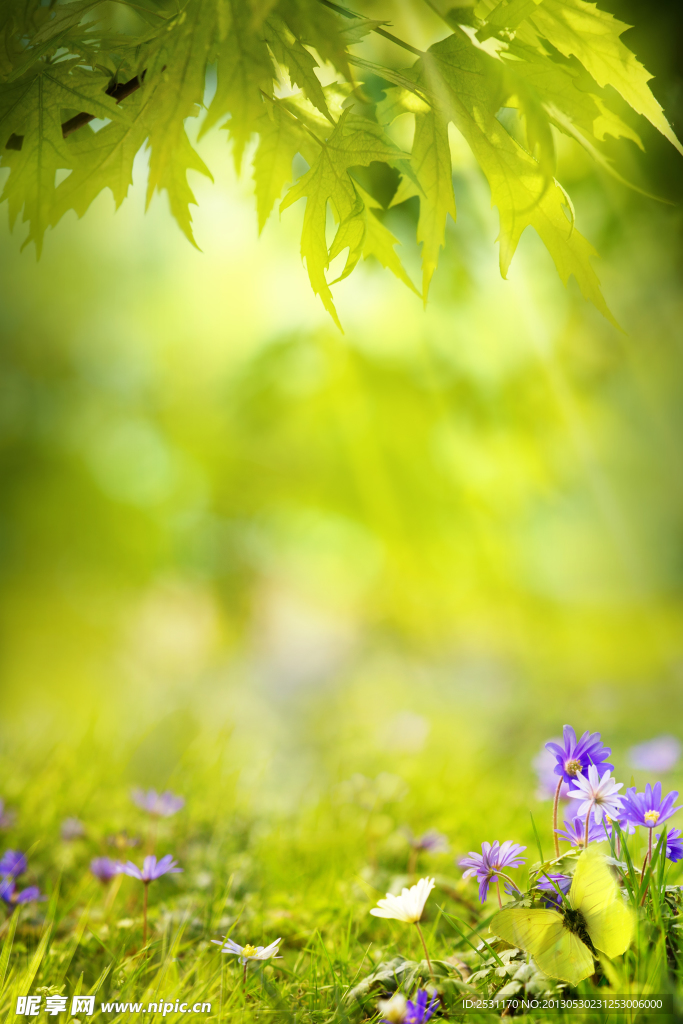 花草背景
