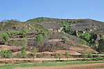 田园风景