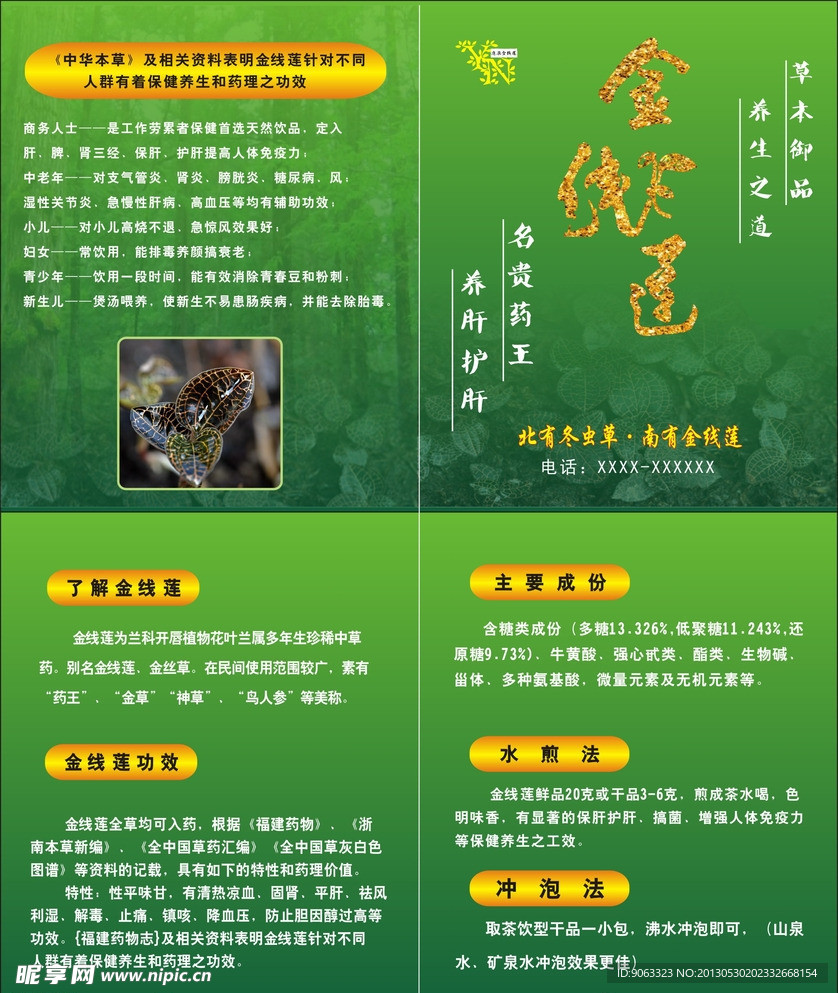金线莲海报