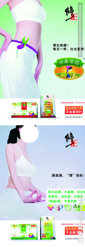 修真茶园