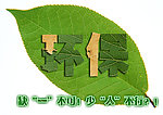 缺一不可 少人不行