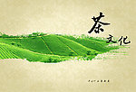 茶文化封面