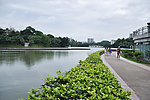 公园
