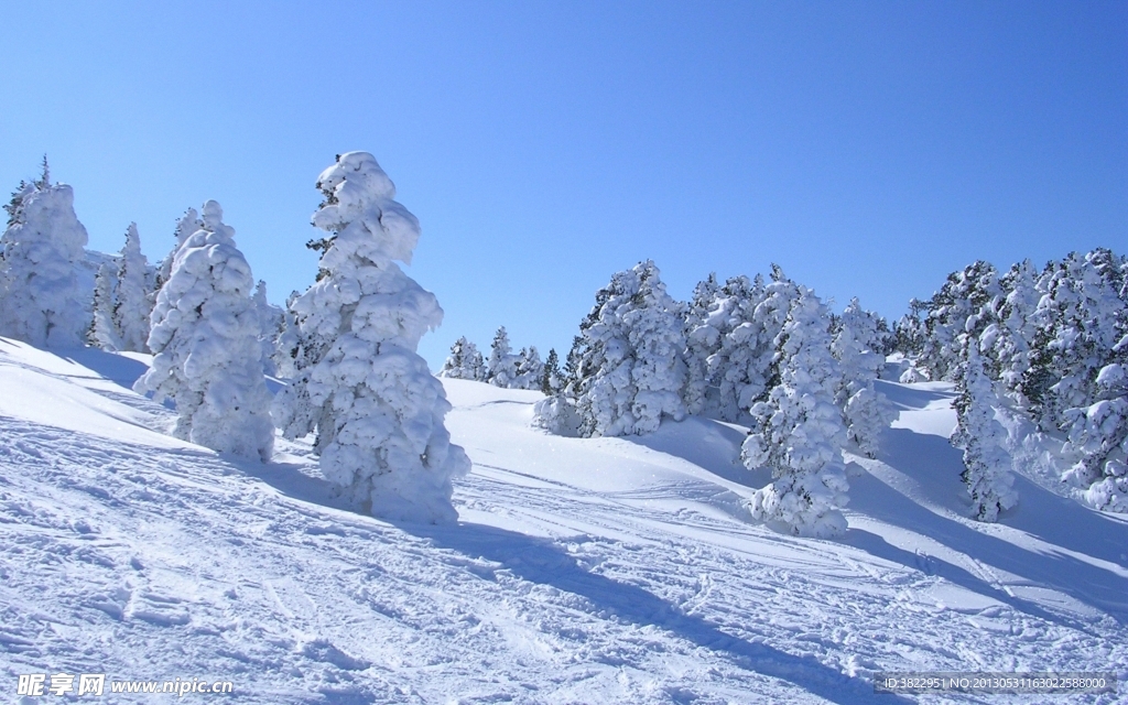 雪山风景