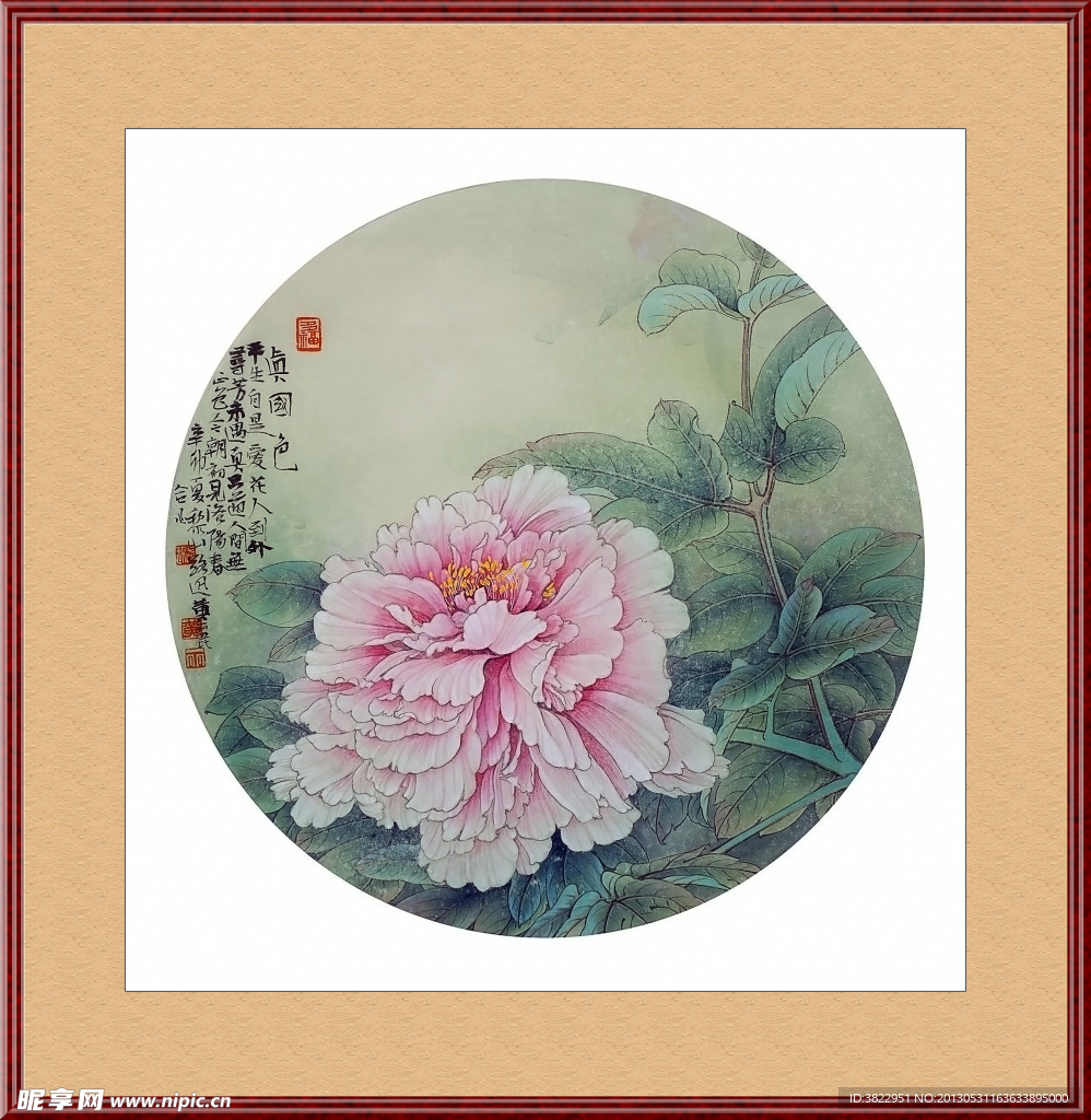 牡丹工笔画