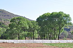 风景