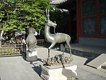 颐和园风光