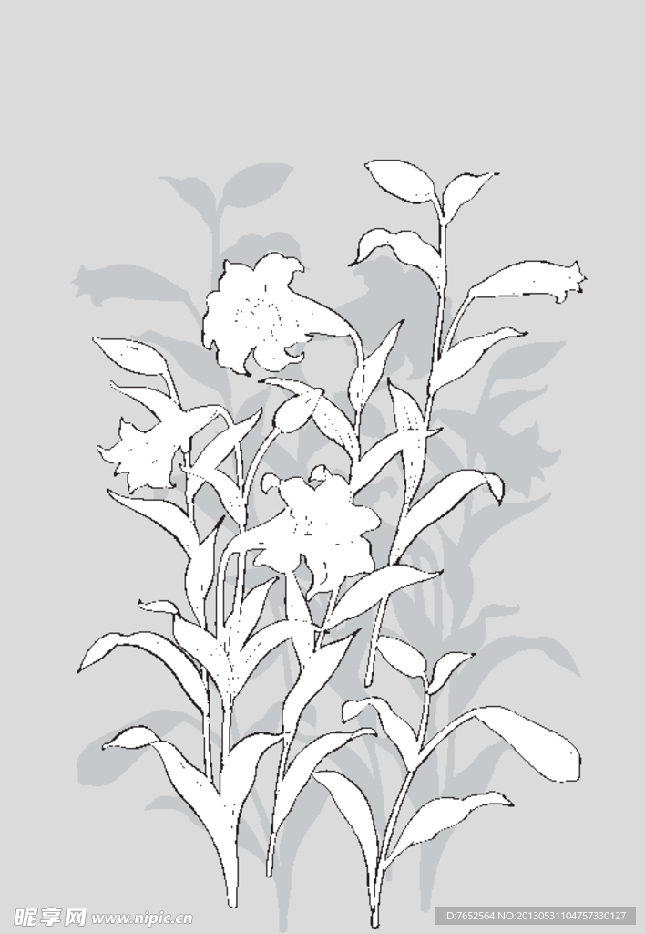 花纹